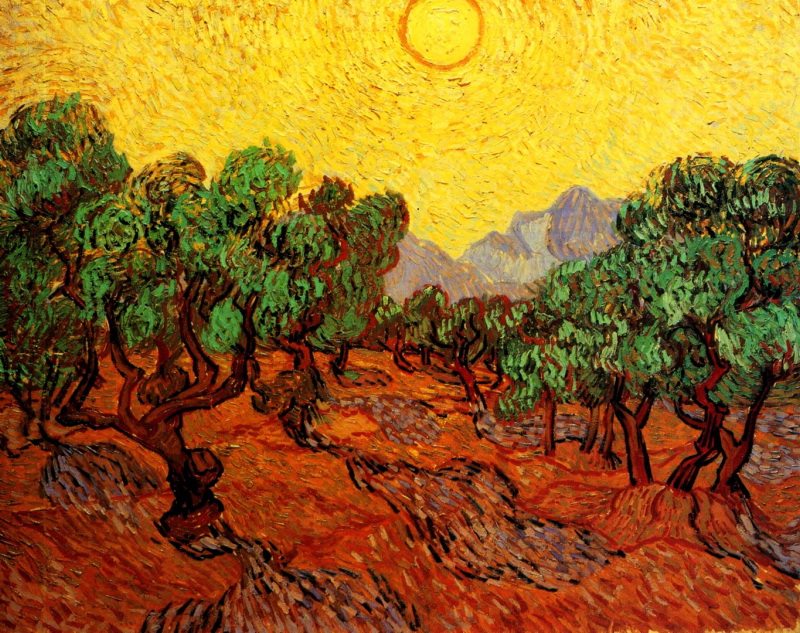 Vincent van Gogh-Olive Trees with Yellow Sky and Sun.jpg